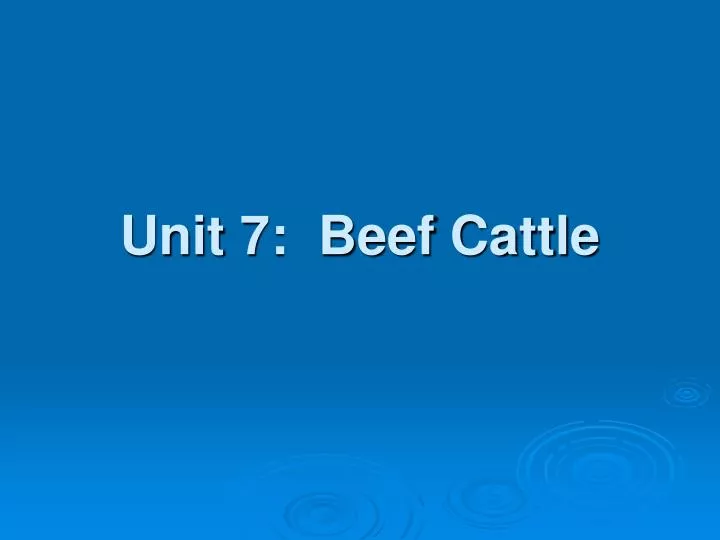 unit 7 beef cattle