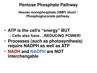 ATP is the cell’s “energy” BUT Cells also have….REDUCING POWER! Processes (such as photosynthesis) require NADPH as well