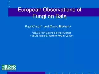 European Observations of Fungi on Bats