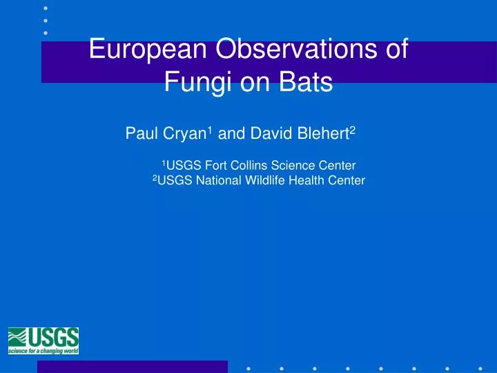 european observations of fungi on bats