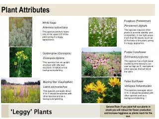 Plant Attributes