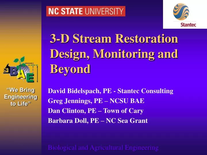 3 d stream restoration design monitoring and beyond