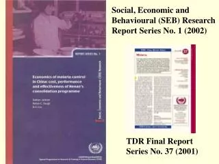 TDR Final Report Series No. 37 (2001)