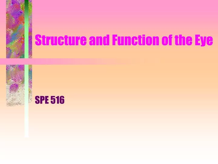 structure and function of the eye