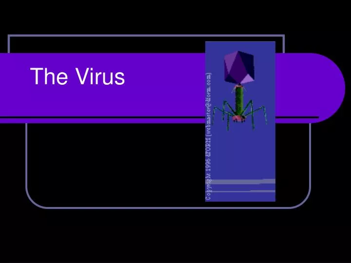 the virus