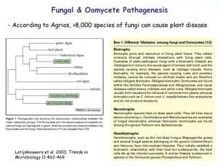 Fungal &amp; Oomycete Pathogenesis