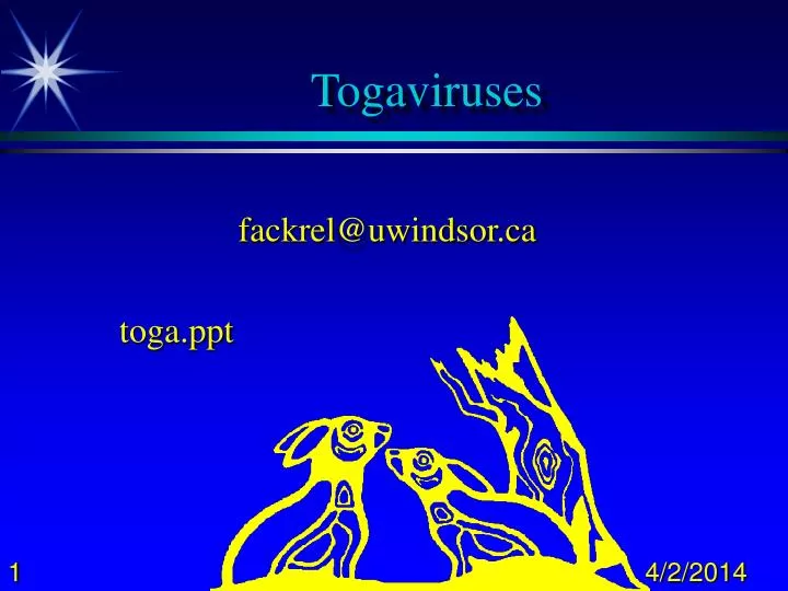 togaviruses