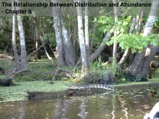 The Relationship Between Distribution and Abundance - Chapter 8