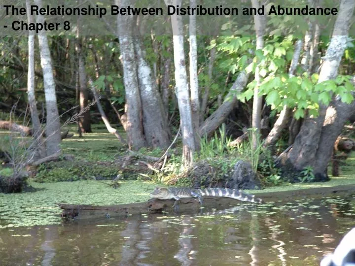 the relationship between distribution and abundance chapter 8