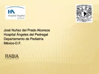 jos nu ez del prado alcoreza hospital ngeles del pedregal departamento de pediatr a m xico d f