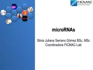 microRNAs Silvia Juliana Serrano Gómez BSc , MSc Coordinadora FICMAC- Lab