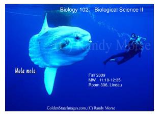 Biology 102: Biological Science II