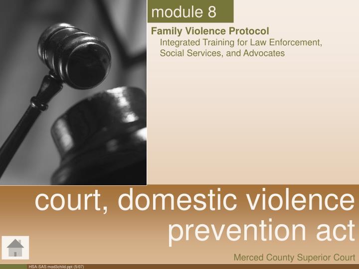 court domestic violence prevention act