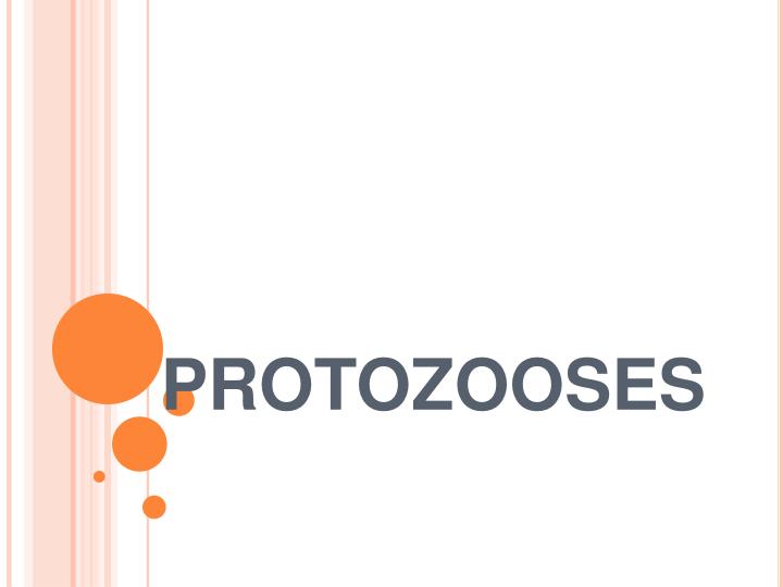 protozooses