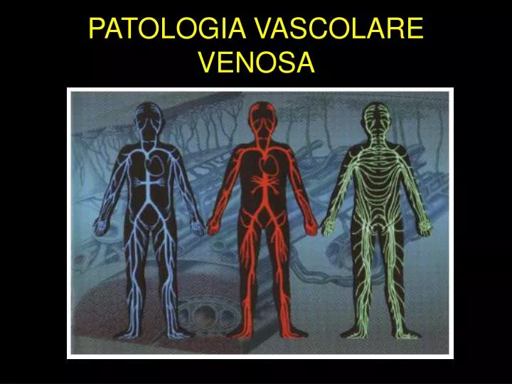 patologia vascolare venosa