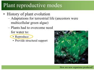 Plant reproductive modes