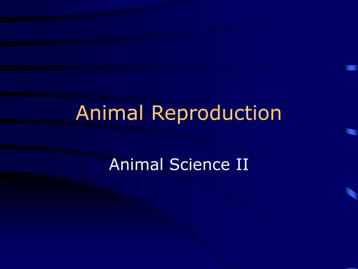 animal reproduction