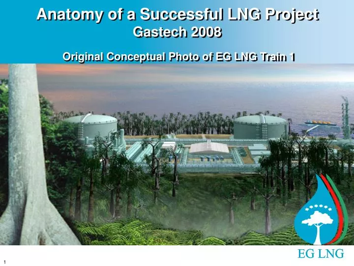 anatomy of a successful lng project gastech 2008