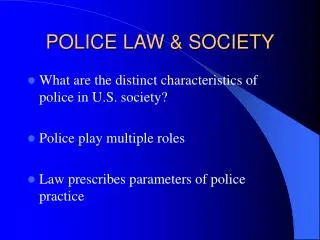 POLICE LAW &amp; SOCIETY