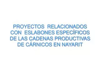 proyectos relacionados con eslabones espec ficos de las cadenas productivas de c rnicos en nayarit