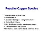 Reactive Oxygen Species - slide 1