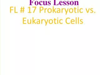 Two Major Divisions of Cells Prokaryotic Cells: bacteria Eukaryotic Cells : plant, animals, fungi, protists