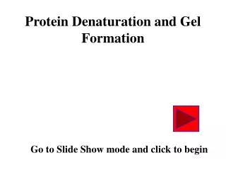 Protein Denaturation and Gel Formation