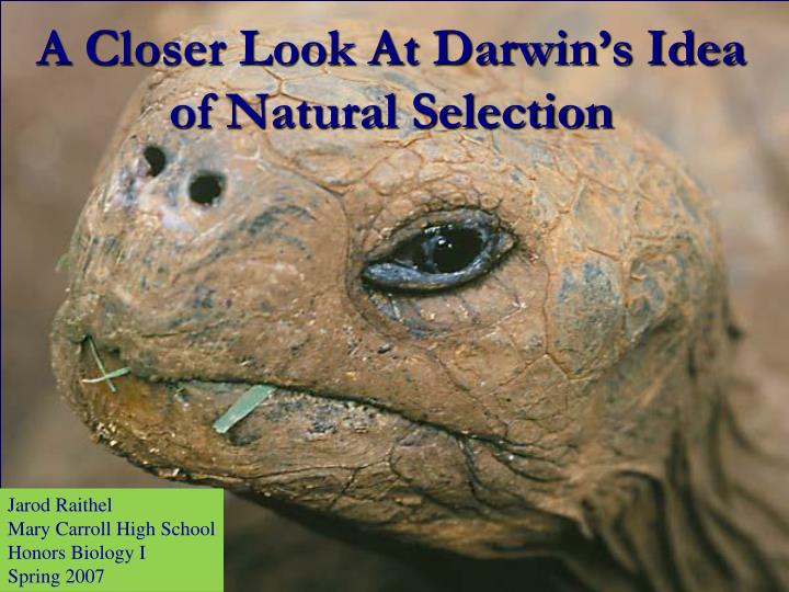 a closer look at darwin s idea of natural selection