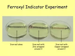 Ferroxyl Indicator Experiment