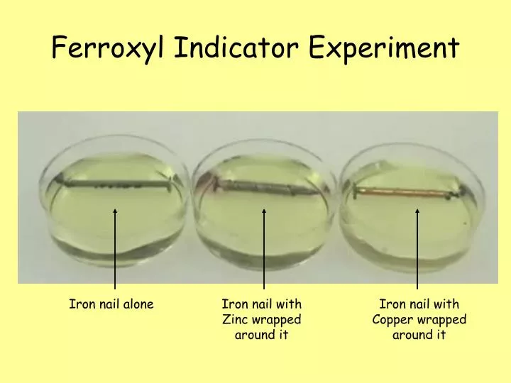 ferroxyl indicator experiment