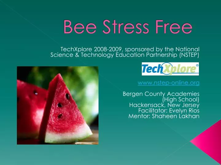 bee stress free
