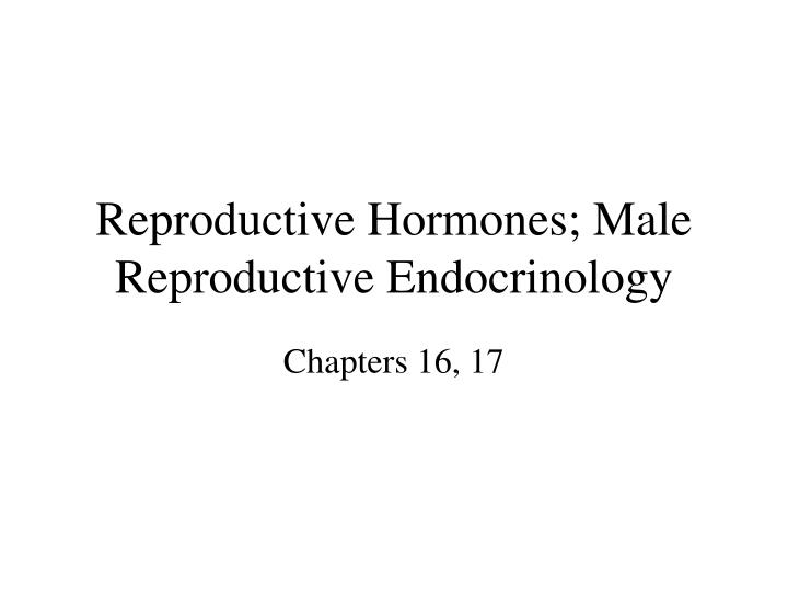 reproductive hormones male reproductive endocrinology
