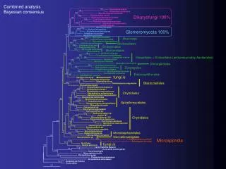 Combined analysis Bayesian consensus