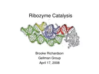 Ribozyme Catalysis