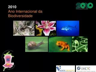 2010 Ano Internacional da Biodiversidade