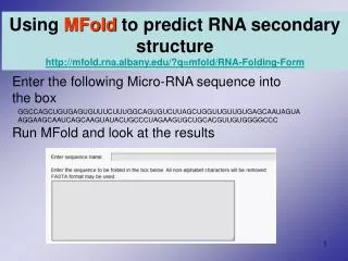 Enter the following Micro-RNA sequence into the box Run MFold and look at the results