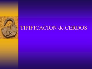 tipificacion de cerdos