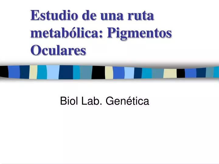 estudio de una ruta metab lica pigmentos oculares