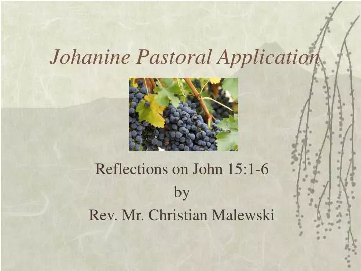 johanine pastoral application