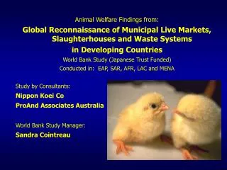 Animal Welfare Findings from: Global Reconnaissance of Municipal Live Markets, Slaughterhouses and Waste Systems in Deve