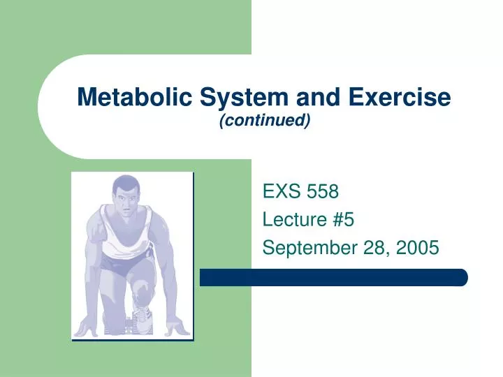 metabolic system and exercise continued