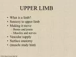 UPPER LIMB - slide 1