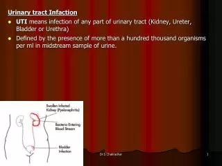 Urinary tract Infaction UTI means infection of any part of urinary tract (Kidney, Ureter, Bladder or Urethra)