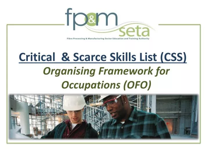 critical scarce skills list css