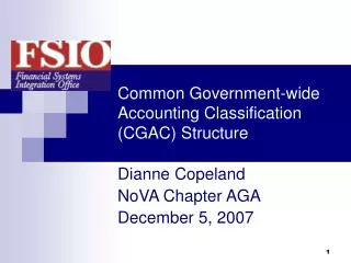 Common Government-wide Accounting Classification (CGAC) Structure