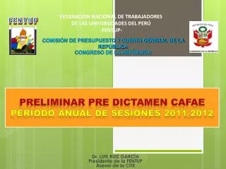 PRELIMINAR PRE DICTAMEN CAFAE PERIODO ANUAL DE SESIONES 2011-2012