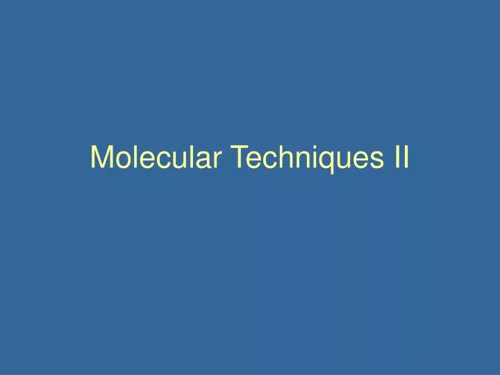 molecular techniques ii
