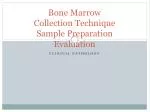 Bone Marrow Collection Technique Sample Preparation Evaluation - slide 1