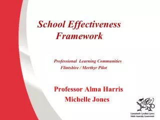 School Effectiveness Framework Professional Learning Communities Flintshire / Merthyr Pilot