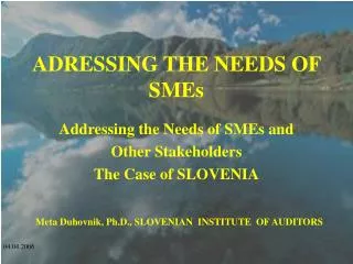 ADRESSING THE NEEDS OF SMEs